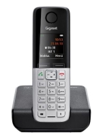 تلفن بی سیم گیگاست مدل C300 - Gigaset C300 Wireless Phone