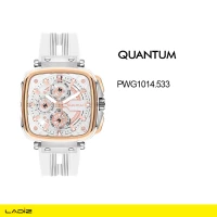 ساعت مچی مردانه کوانتم مدل PWG1014.533