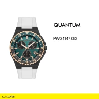 ساعت مچی مردانه کوانتم مدل PWG1147.093